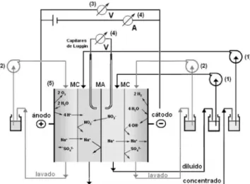 Figura 4. (A) Componente que aloja a cada electro do y que permite la her- her-meticidad al electrodializador