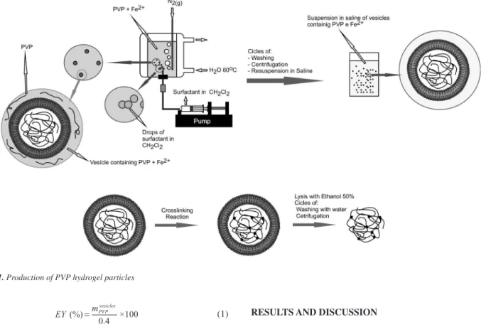 Figure 1. Production of PVP hydrogel particles