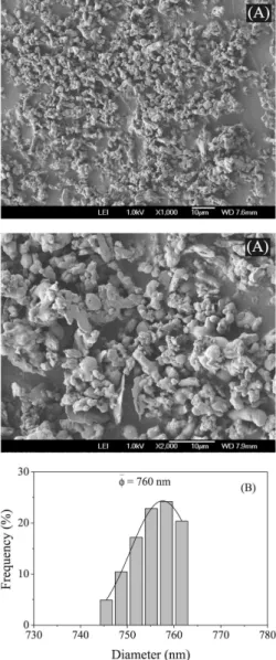 Figure  6.  SEM  image  of  freeze-dried  particles  obtained  from  soy  lecithin  vesicles (A) and DLS particles diameter distribution (B)