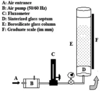 Figure 2. Schematic diagram from foam column. LVF: liquid volume fraction 