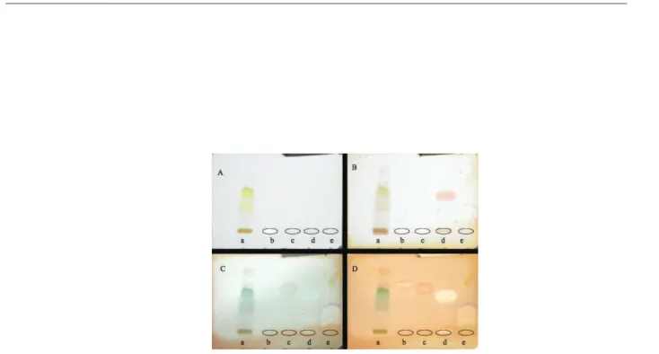 Figure 1S. TLC proiles. A: Before reagents spraying B: Just after reagents spraying C: After 2 hours D: After 6.5 h; white spots refer to positive result