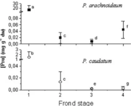Figure  1.  Variation  in  prunasin  concentration  with  frond  development  in  netropical P