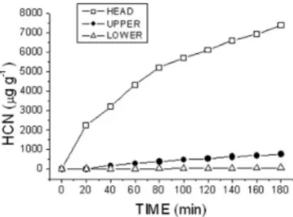 Figure 3. Time-dependent HCN evolution from crushed tissue of Pteridium   arachnoideum crozier parts