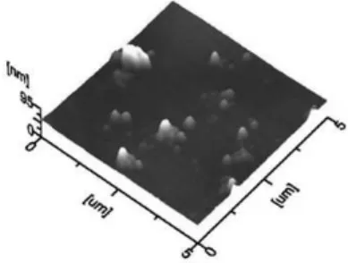 Figure 6. AFM image of the deposits obtained at -820 mV onto HOPG from  an aqueous solution 10 -2  M of CoSO 4  + 1M (NH 4 ) 2 SO 4  (pH 4.5)