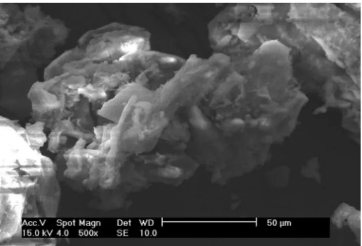 Figure 6. SEM image of the distribution of particles from the inal material  on a scale of 500 µm