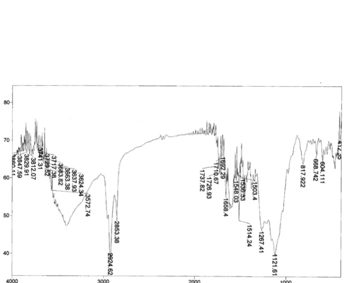 Figure 1S. IR spectrum of 4 (KBr, cm -1 )