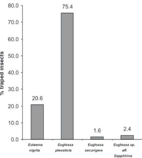 Figure 3. Euglossine bees attracted in ield experiments