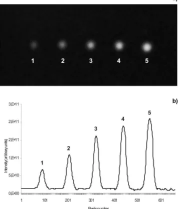 Figure 3. (a) Image of chromatographic plate obtained by the CCD camera  with (1) 2.4, (2) 4.8, (3) 7.2, (4) 9.6 and (5) 12 ng of alatoxin B 1  standard  solution and (b) chromatogram obtained from chromatographic plate image  by CCD camera with the same c