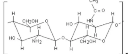 Figure 1. Molecular structure of chitosan