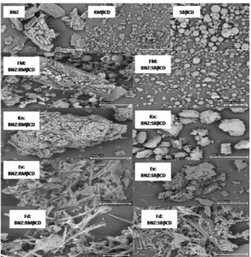 Figure 4. Dissolution profiles of BNZ, PM, KN, EV and FD systems with  RMbCD and SBbCD, in sink condition