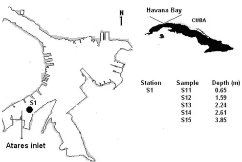 Figure 1S. Geographical localization of samples sites and depth in which samples were collected