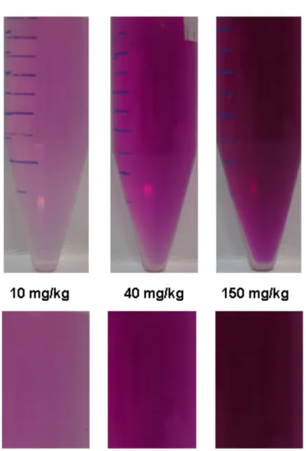 Figure 1. Visual comparison standard proposed for field analysis of Cr(VI) in soils