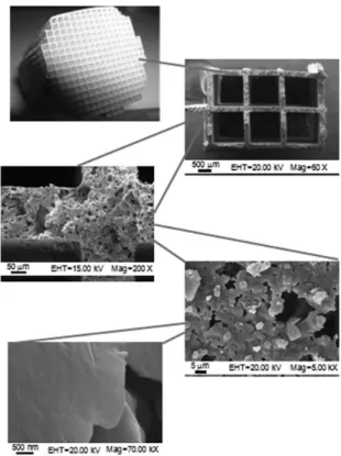 Figure 4. SEM images of the cordierite/CeO 2  surface and cordierite/CeO 2 - -ZrO 2  surface