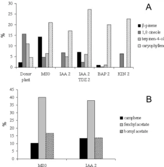 Figure  2.  Composition  (%)  of  the  major  contents  of  leaf  (A)  and  root  (B)  volatiles, according to GC-FID analyses, from plantlets of Alpinia zerumbet  cultured for 4 months under different growth regulators