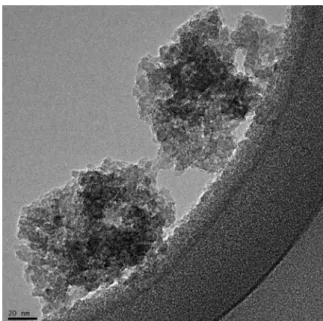 Figure 6. TEM micrograph of S5 sample. Scale: 50 nm