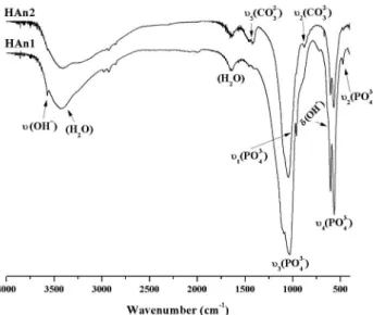 Table 1. Results of Rietveld refinement of both HAn