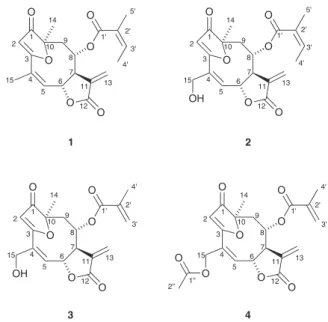 Figure 1. Structure of the sesquiterpene lactones