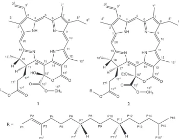 Figure 2. Structure corresponding to long-range HC-correlation signals  observed in the HMBC of compound 1