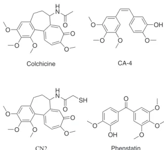 Figure 1. Molecular structure of colchicine, CA-4, CN2, and phenstatin