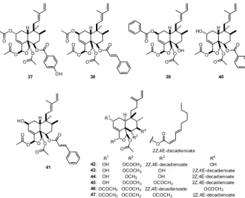 Figure 11. Bioactive clerodane diterpenes (48 and 49) isolated from C. 