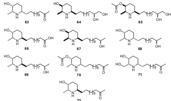 Figure 16. Piperidine alkaloids (63-72) isolated from S. spectabilis