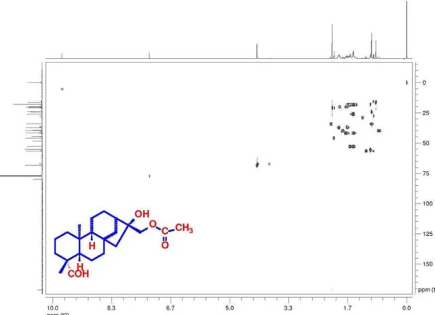 Figure 5S.  1 H- 13 C long-range correlation map from HMBC NMR experiment of ent-16b-hydroxy-17-acetoxy-kauran-19-al (7) in CDCl 3  at 400 and 100 MHzFigure 4S
