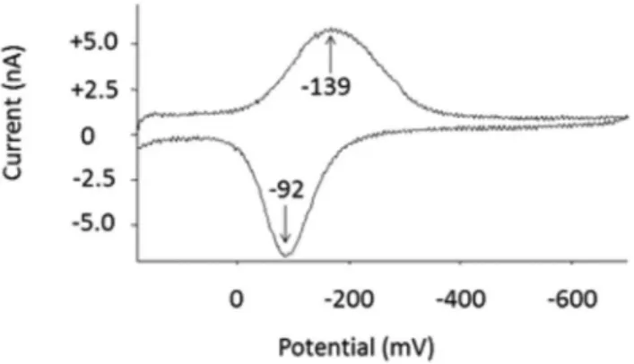 Figure 3. Cyclic voltammograms of sibutramine 0.05 mmol L -1  (Mcllvaine  buffer pH 4.0)