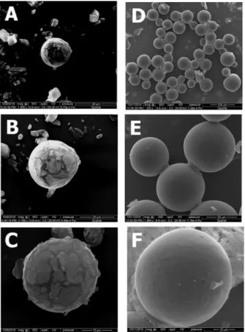 Figure 1. Microparticles characterization by scanning electron microscopy  (SEM). Scanning electron microscopy (SEM) was performed with octreotide  acetate depot formulation direct from the commercial powder (A to C) or after  dispersing the product with i