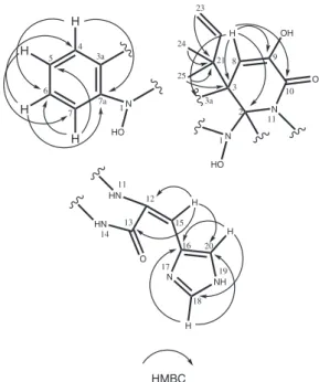 Figure 3.  1 H- 13 C HMBC correlations for the compound 1