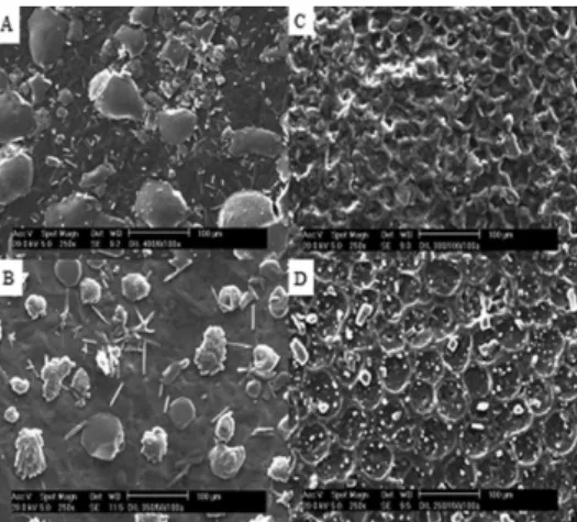 Figure 2 showed the DZ release profiles for the EMA/PCL-T/