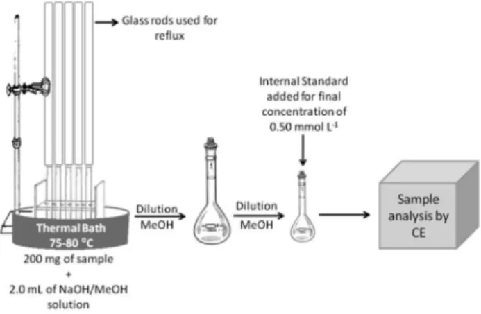 Figure 3 shows the electropherograms obtained from the analysis  of the standards and pequi samples