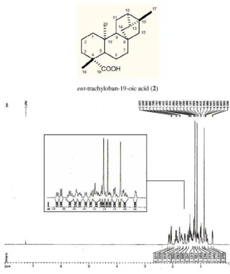 Figure 9S. NMR  13 C - CPD (125 MHz, CDCl 3 ) of 2