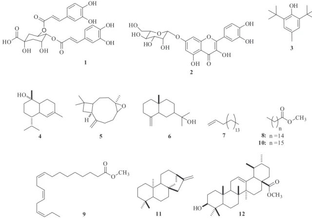 Figure 2. Chemical structures of 3,4-O-(Z)-dicaffeoylquinic (1), and acid quercetin-7-O-glycoside (2) other compounds identified in H