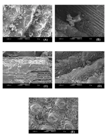 Figure 1S. MS2 Scan of direct infusion of a standard solution of xylitol