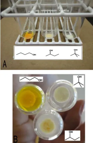 Figure 3. Spot test of TBCA with butanol, sec-butanol and tert-butanol
