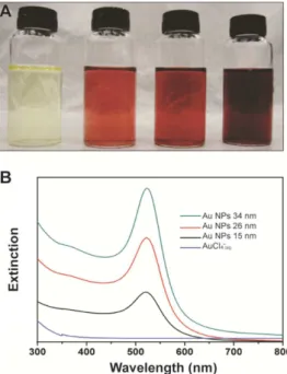 Figure 4 shows the plots of ln(C t /C 0 ) and the UV-VIS absorption  spectra as a function of time for the Au NPs that were 15 ± 2.2 (Figure  4A and B), 26 ± 2.4 (Figure 4C and D), and 34 ± 3.0 nm in diameter  (Figure 4E and F)