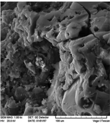 Figure 1. SEM image of produced activated carbon (magnification: 1000x)