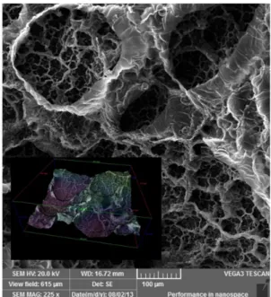 Figure 2. SEM of surface of the synthesized composite PPy+MWCNT (inset: 