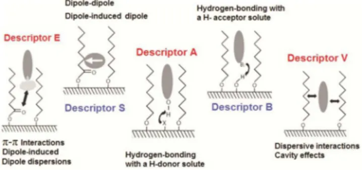 Figure 4 shows an example of a spider diagram applied to the  characterization of 19 SP based on silica and on silica modified with  zirconia and titania, having polysiloxanes with different chain lengths  (C1, C8, C14 and C18, phenyl) thermally immobilize