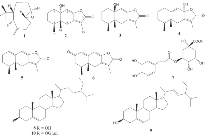 Table 1. Effect of extracts and isolated compounds from R. platanifolia on  TPA-induced mouse edema