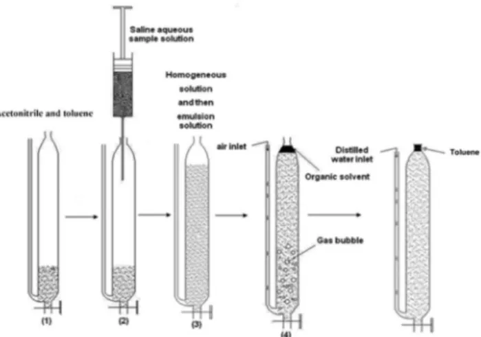 Table 1. Temperature program of graphite furnace for metal ion determination