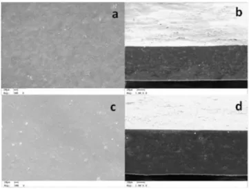 Figure 5. X-ray diffraction patterns of the canihua films of the varieties (FCC)  cupi and (FCII) illpa-inia