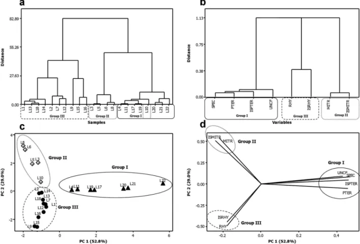Figure 4. HCA and PCA analyses of U. tomentosa leaves samples considering only the oxindole alkaloids: (a) dendrogram of the samples using Ward’s as  linkage method and the Euclidean distance, (b) dendrogram of the variables using the single linkage method