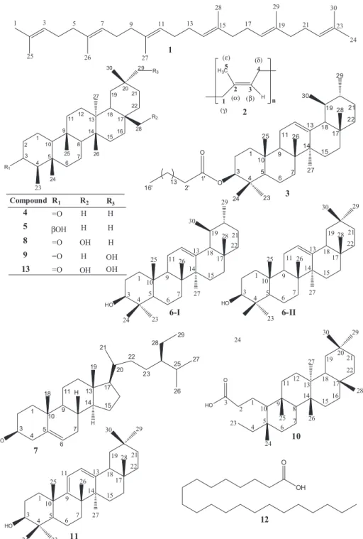 Figure 1. Chemical structures of compounds isolated from leaves of S. crassifolia