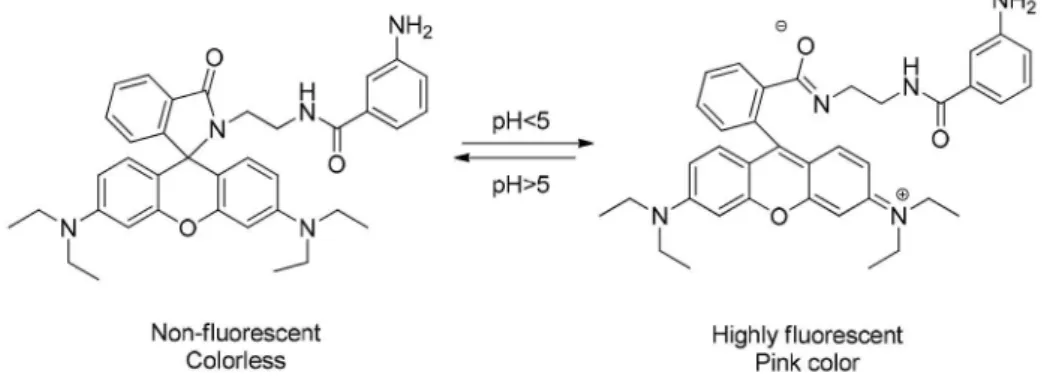 Figure 1. Effect of pH on the fluorescence of RBMAB (20 µmol L -1 ) in ethanol- ethanol--H 2 O solutions (3:2 v/v)