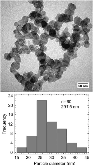 Figure 3. FTIR spectrum of the precipitates formed in SCS solution