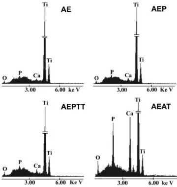 Figure 6.  FTIR spectra of apatite layers obtained on titanium soaked in  SCS for 24 h