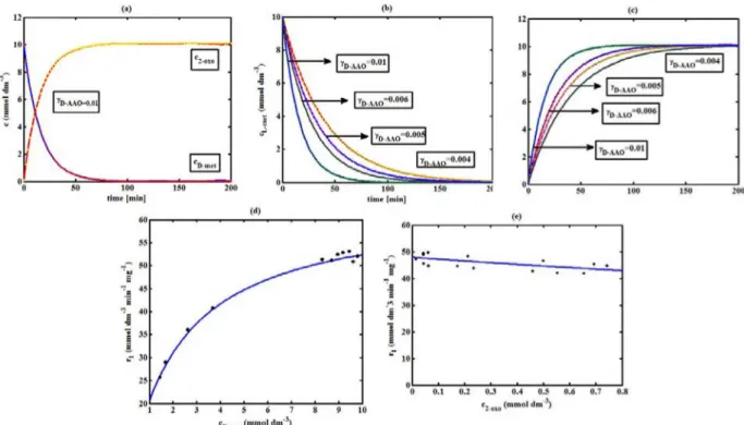 Figure 2. D-AAO kinetics (a) Comparison between the theoretical results (Equations 5 and (6)) and simulation results