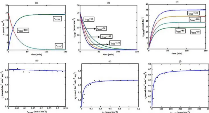 Figure 5. FDH kinetics (a) Comparison between the theoretical results (Equations(28) and (29)) and simulation results