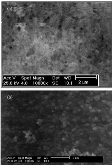 Figure 3. Scanning electron micrographs of PANI film, grown on a platinum  electrode under potentiostatic conditions at 0.600 V